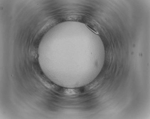 X0000088210091200706051308