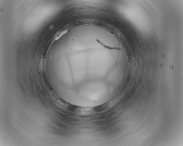 X0000088210093200706051308