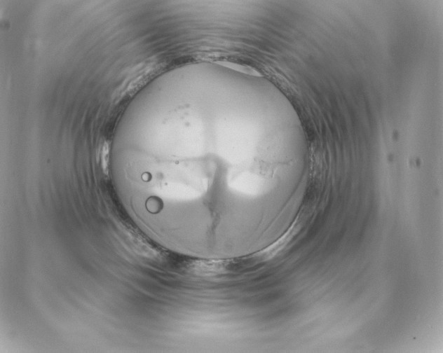 X0000088210094200706051308