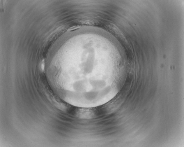 X0000088210095200706051308