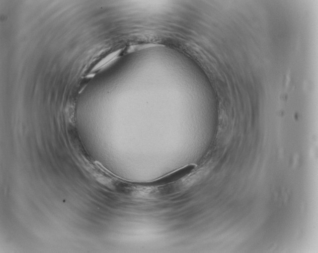 X0000088210096200706051308