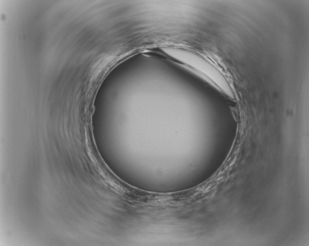 X0000088210097200706051307