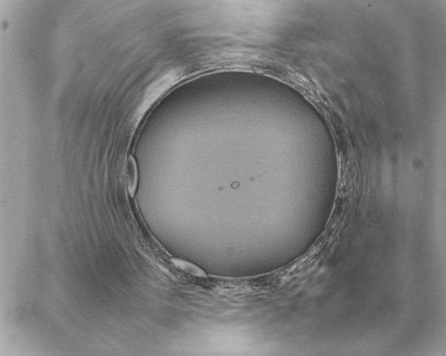 X0000088210099200706051307