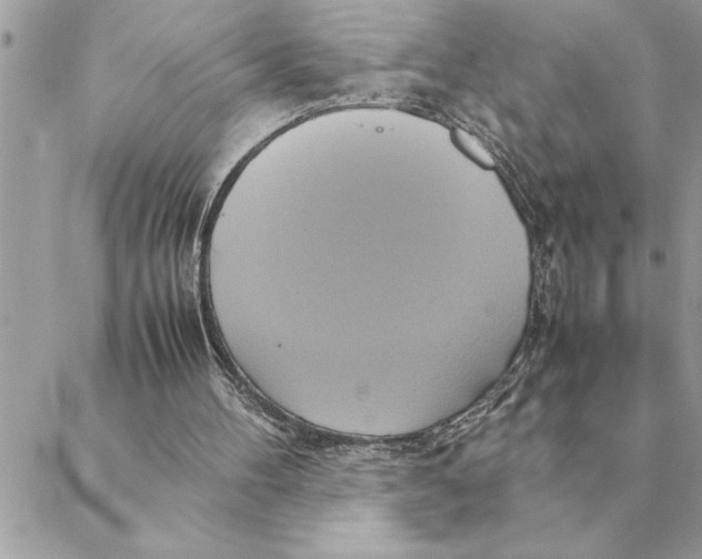 X0000088210100200706051307