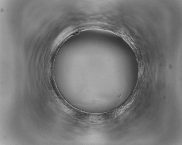 X0000088210101200706051307