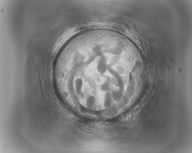 X0000088210103200706051307