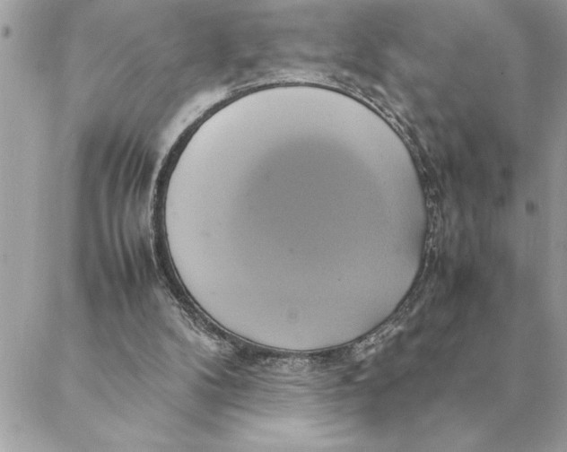 X0000088210104200706051307