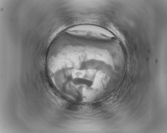 X0000088210107200706051307