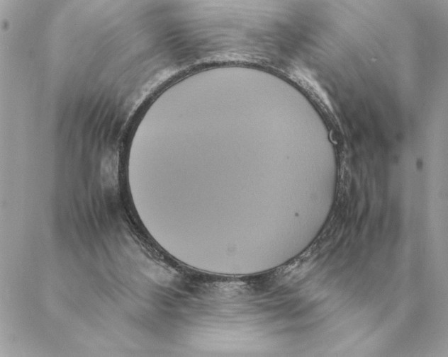 X0000088210108200706051307