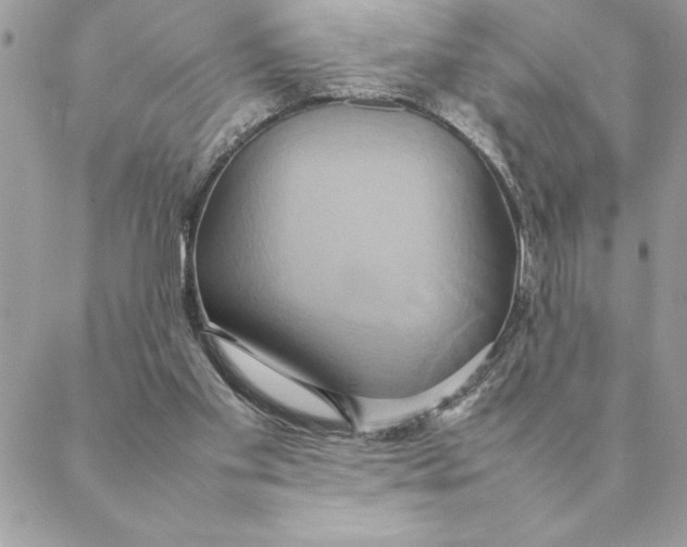 X0000088210109200706051307