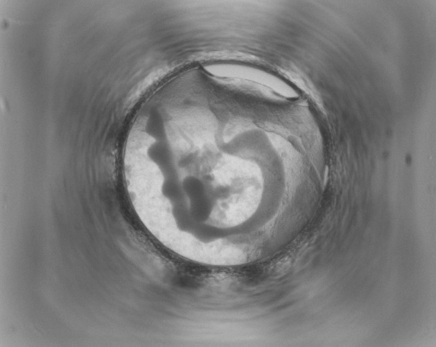 X0000088210111200706051307