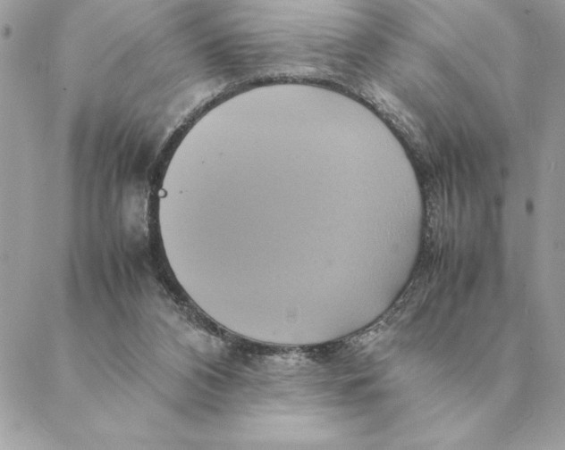 X0000088210112200706051307