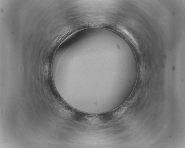 X0000088210113200706051307