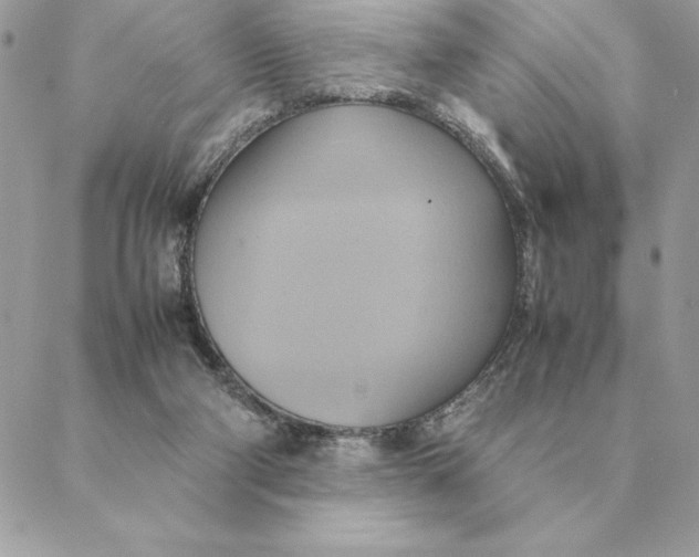 X0000088210114200706051307