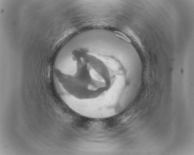 X0000088210115200706051307