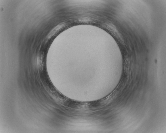 X0000088210116200706051307