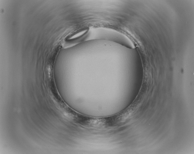 X0000088210117200706051307