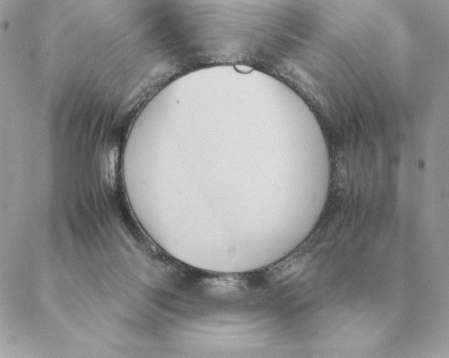 X0000088210118200706051307