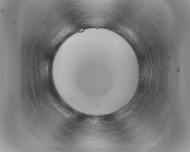 X0000088210120200706051307