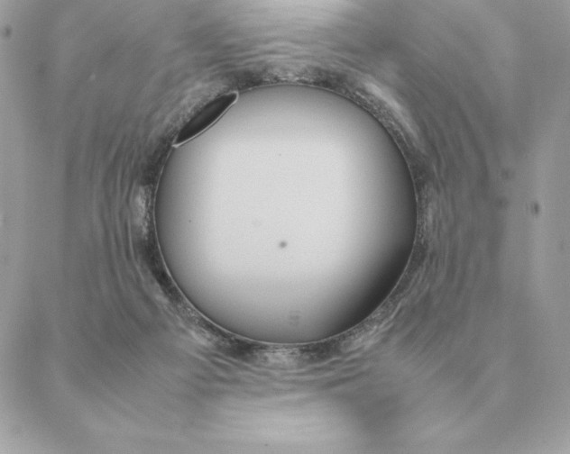 X0000088210121200706051306