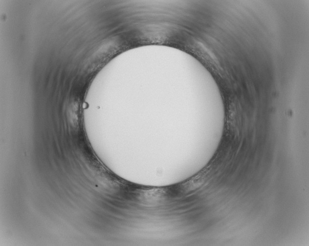 X0000088210122200706051306