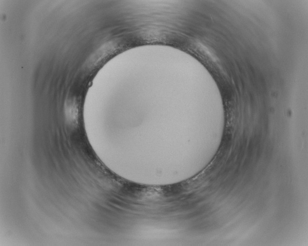 X0000088210124200706051306