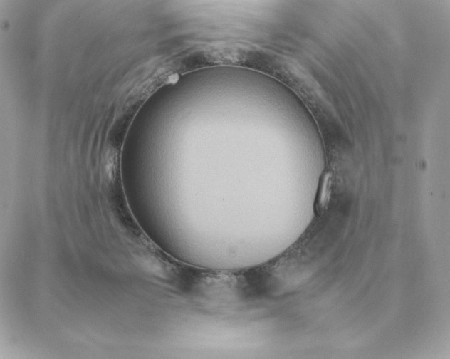 X0000088210125200706051306