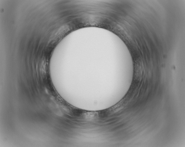 X0000088210126200706051306