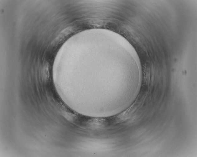 X0000088210128200706051306