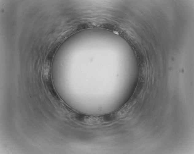 X0000088210129200706051306