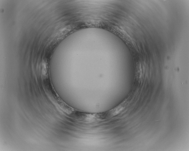 X0000088210130200706051306