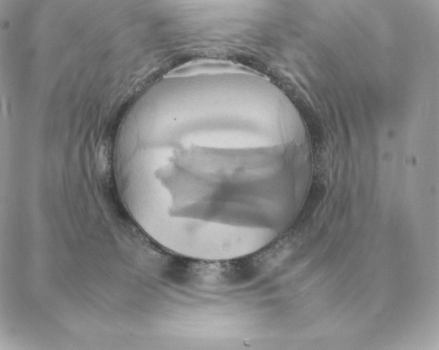 X0000088210131200706051306