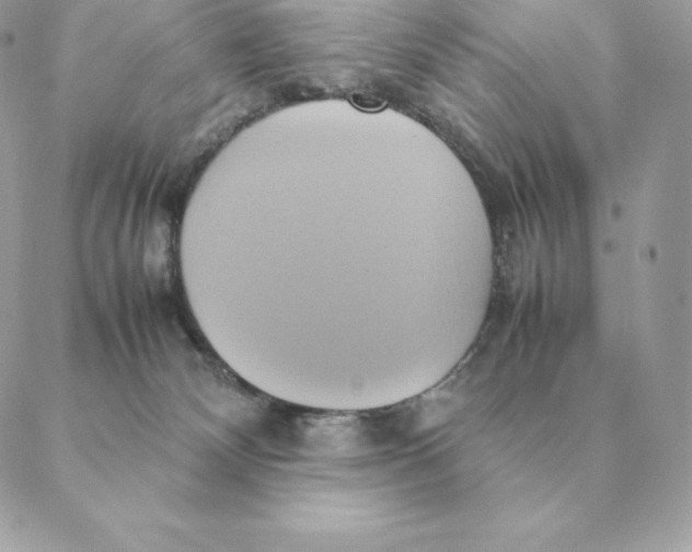 X0000088210132200706051306