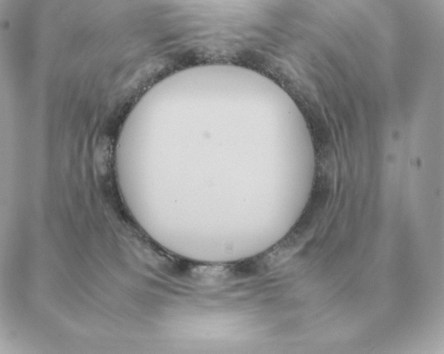 X0000088210133200706051306