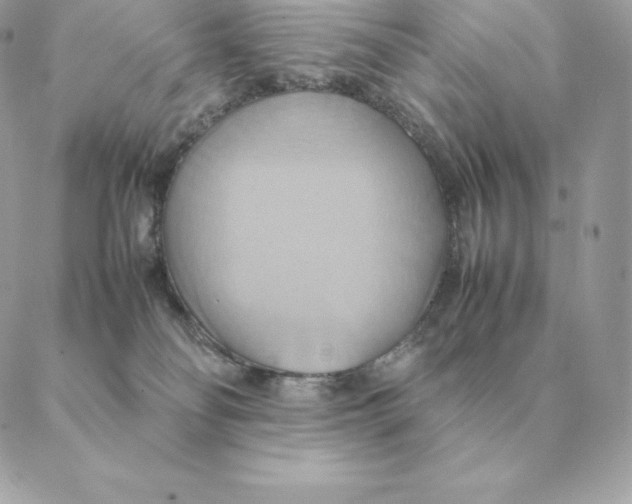 X0000088210134200706051306