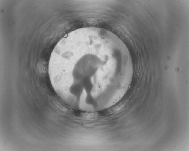 X0000088210135200706051306