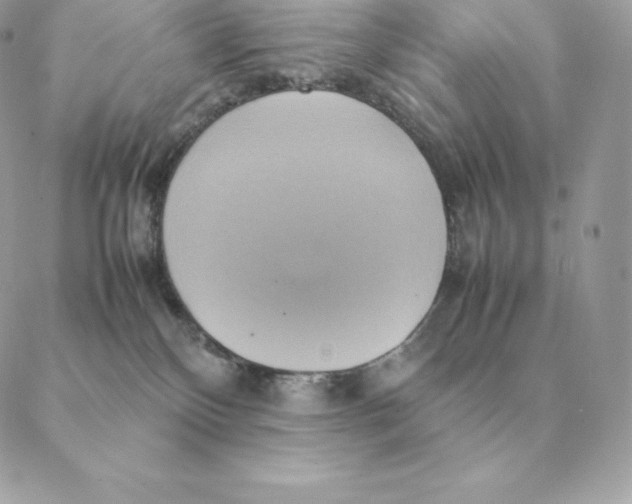 X0000088210136200706051306