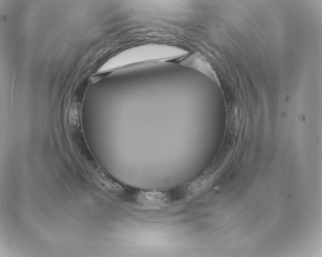 X0000088210137200706051306