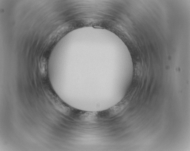 X0000088210138200706051306