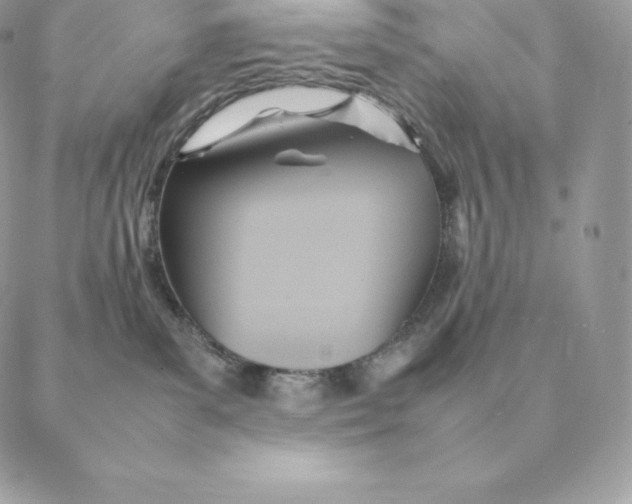 X0000088210139200706051306