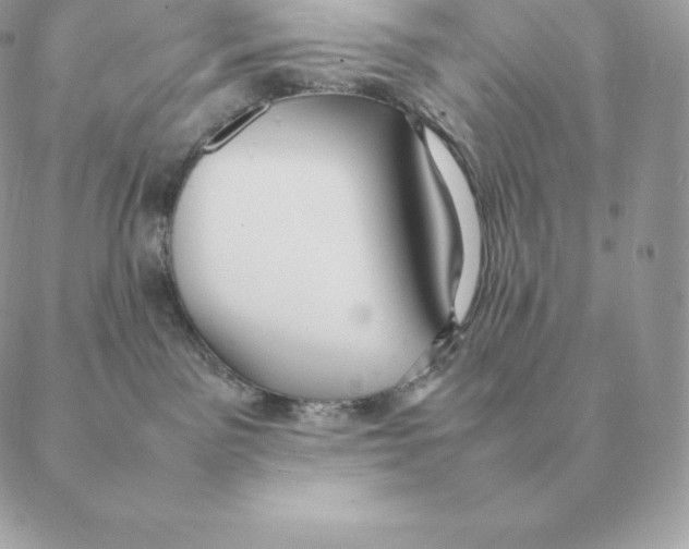 X0000088210141200706051306