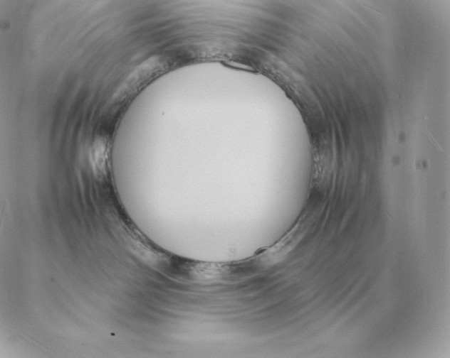 X0000088210142200706051306