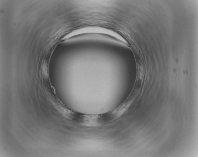 X0000088210143200706051306