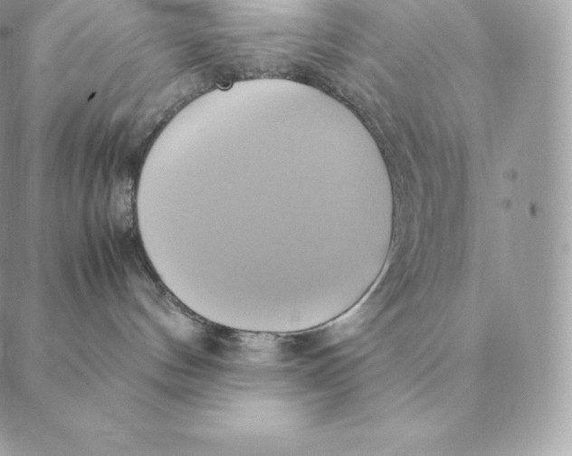 X0000088210144200706051306