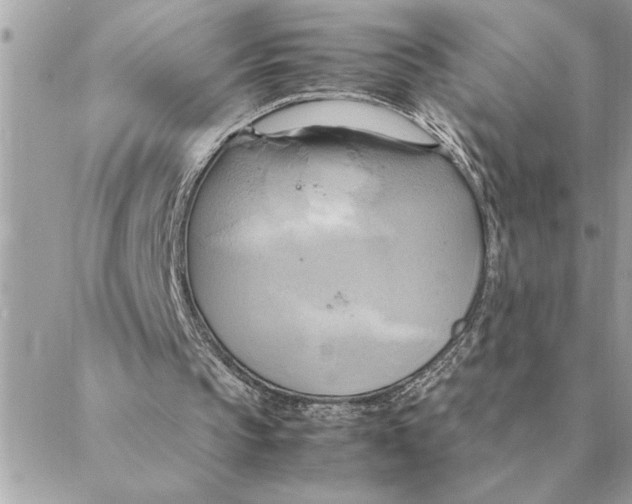 X0000088210145200706051305