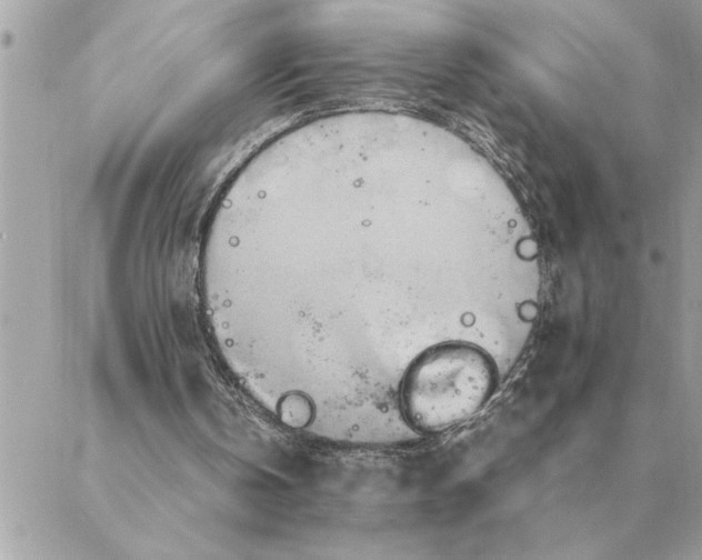 X0000088210146200706051305