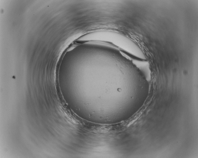 X0000088210148200706051305