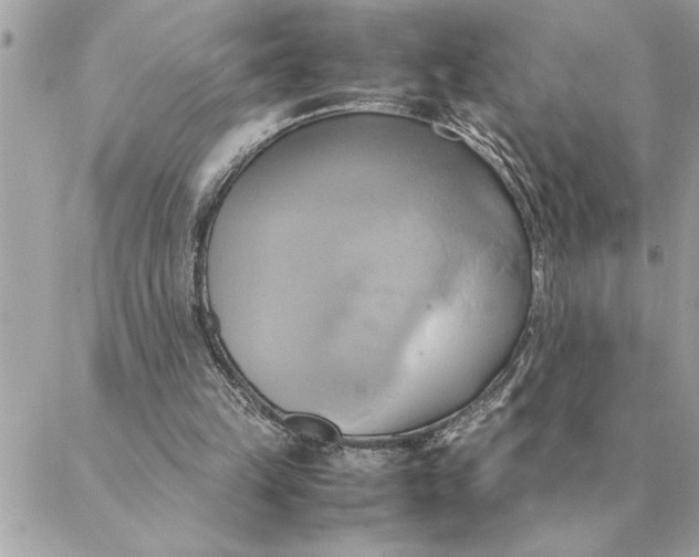 X0000088210149200706051305