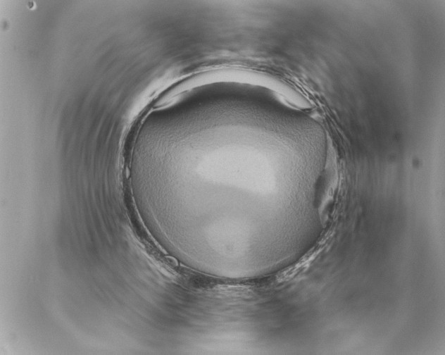 X0000088210150200706051305