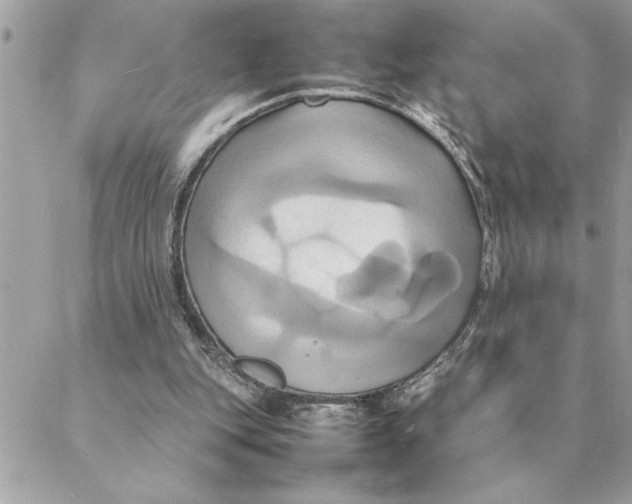 X0000088210151200706051305